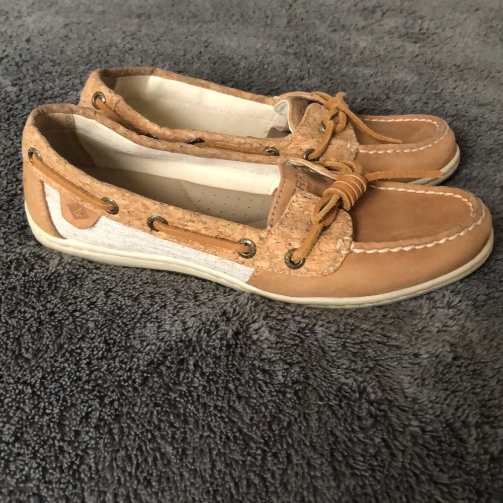 Angelfish topsider - Picture 3 of 6